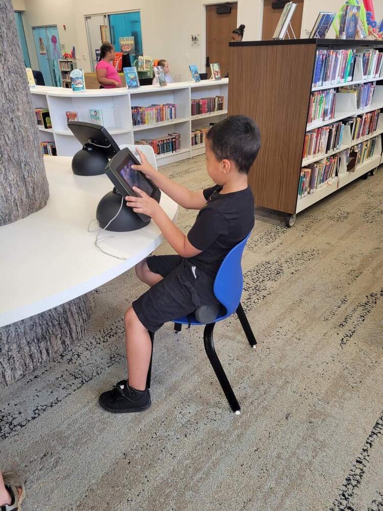 A boy sitting at a computer