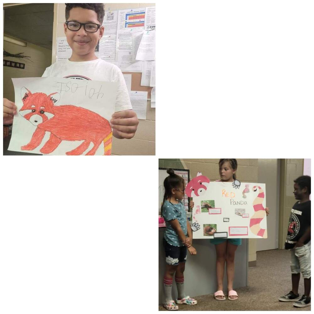 Children holding up their pictures they drew of a red panda.