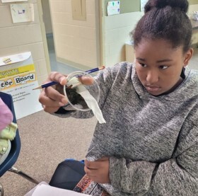 A girl holding up a cup with dirt and tape.