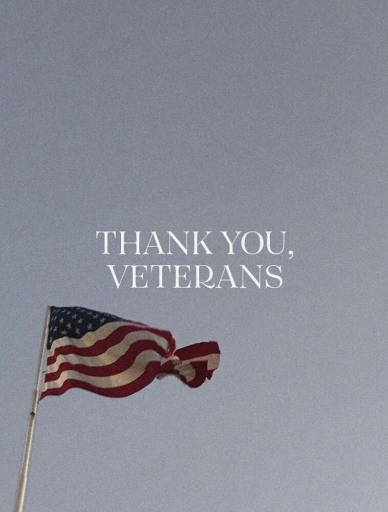 Veterans Day photo